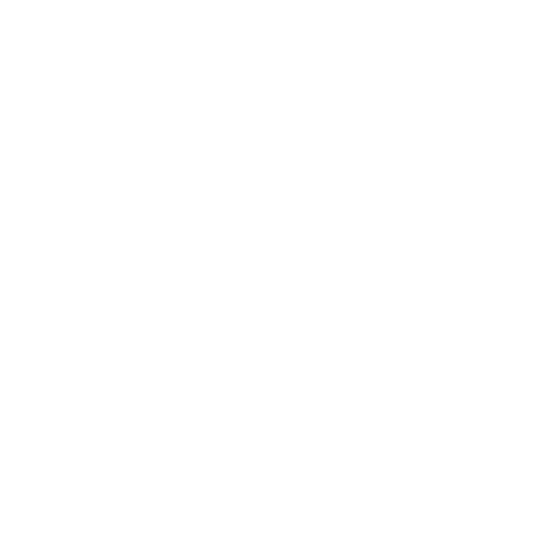 Google Ads Services